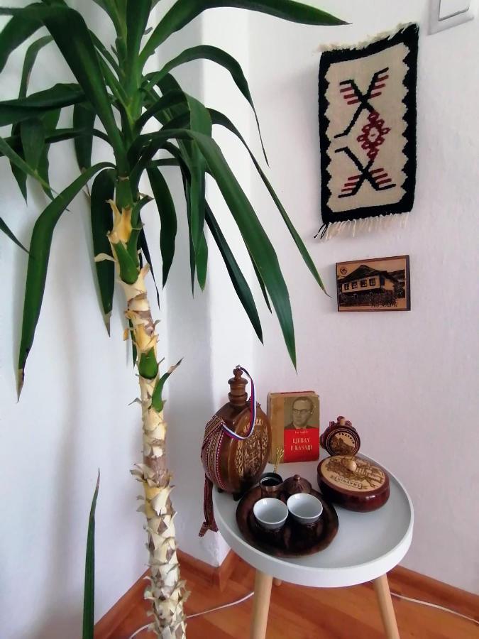 Apartment Danijel Višegrad Zewnętrze zdjęcie